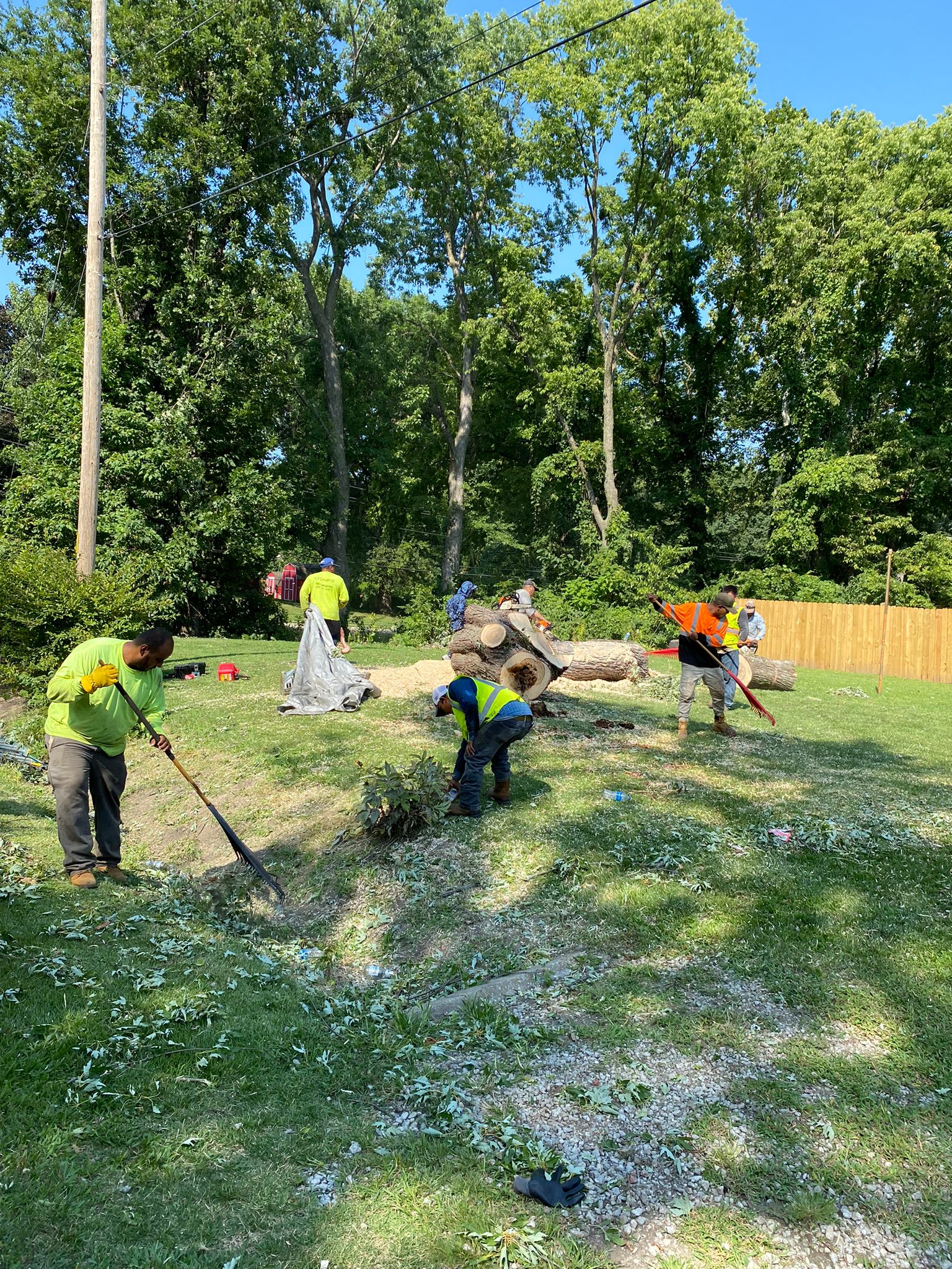C/E Campos Tree and Lawn Service Image